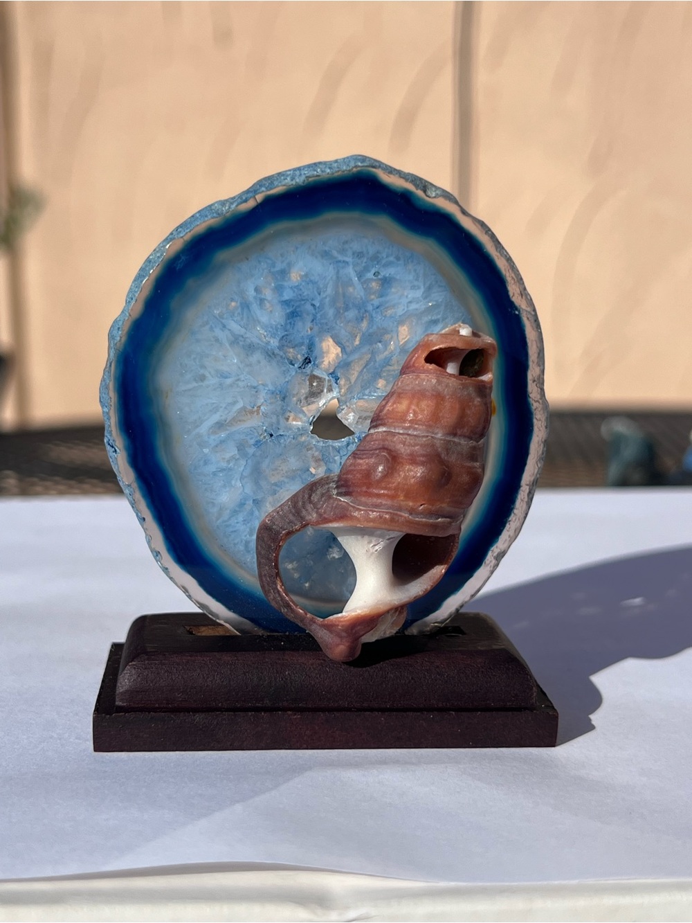 Blue Agate Geode Slice with Brown Shell Decor